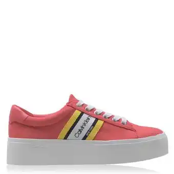 Sports Direct Calvin klein jinjer trainers offer