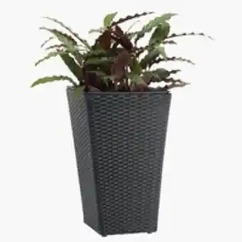 JYSK Garden planter blommor w31xl31xh50 blacksave 50% offer