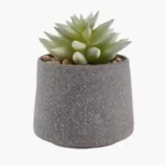 JYSK Artificial plant lucas d9xh12cm w/potsave 44% offer