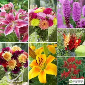 Costco Ultimate Flower Collection, 300 Bulbs offer