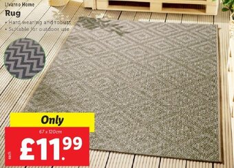 Lidl Rug offer