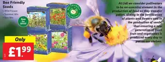 Lidl Bee Friendly Seeds offer