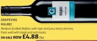 Aldi Grapevine Malbec 75cl offer