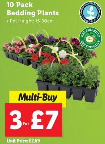 Lidl 10 pack Bedding Plants offer