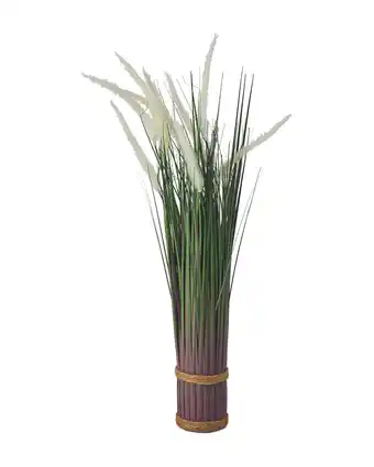 Aldi White Dog Tail Grass Bundle offer