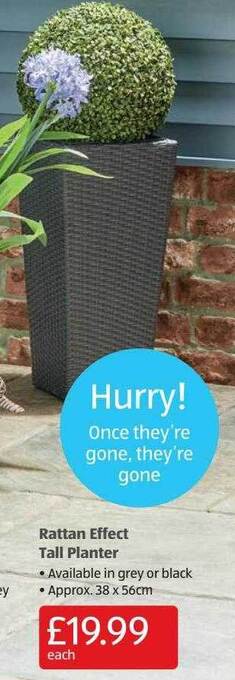 Aldi Rattan Effect Tall Planter offer