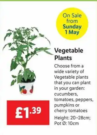 Lidl Vegetable Plants offer