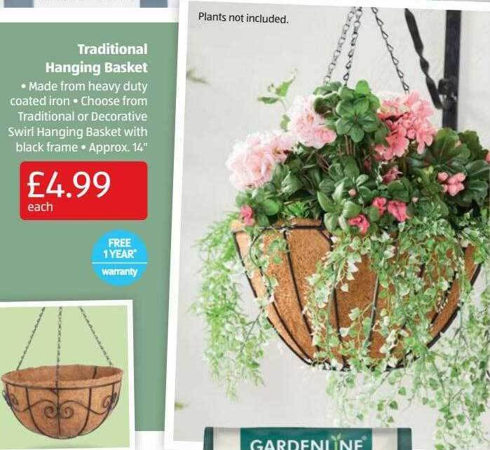 Traditional Hanging Basket offer at Aldi