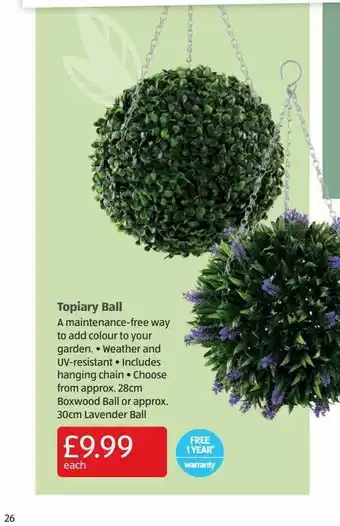 Aldi Topiary Ball offer