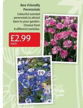 Aldi Bee Friendly Perennials offer