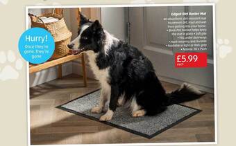 Aldi Edged Dirt Buster Mat offer
