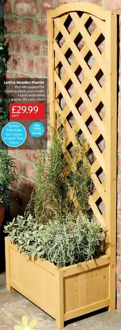 Aldi Lattice Wooden Planter offer