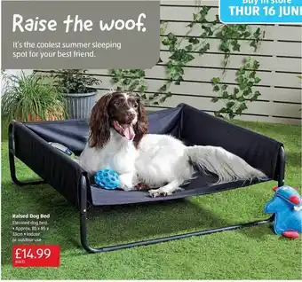 Aldi Raised Dog Bed offer