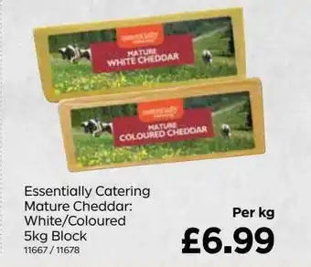 Bestway Essentially Catering Mature Cheddar offer