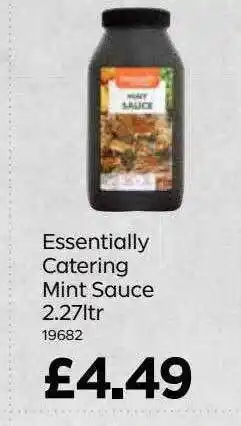 Bestway Essentially Catering Mint Sauce 2.27l offer