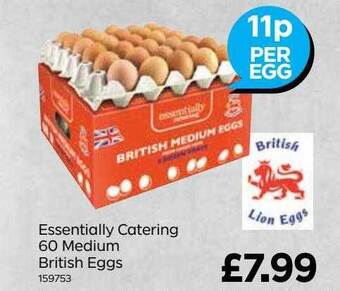 Bestway Essentially Catering 60 Medium British Eggs offer