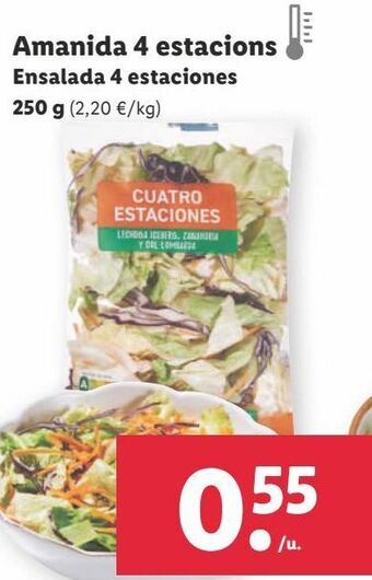 Lidl Ensalada cuatro estaciones oferta