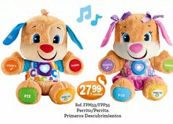 Perrito/perrita primeros descubrimientos