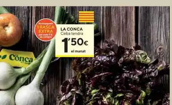 Caprabo La Conca Ceba Tendra oferta