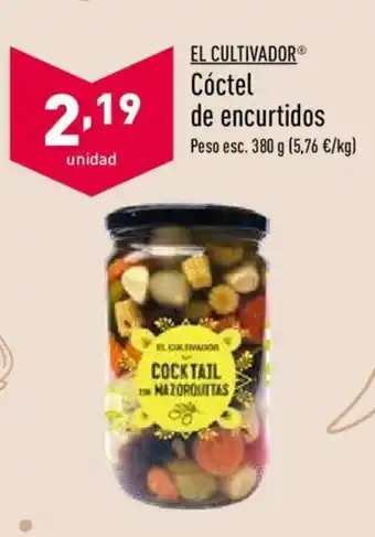 ALDI Cóctel de encurtidos 380g oferta