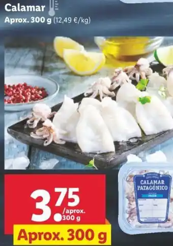 Lidl Calamar 300g oferta