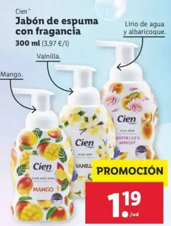 Lidl Jabón de espuma con fragrancia 300ml oferta