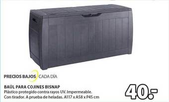 Baúl Para Cojines Bisnap