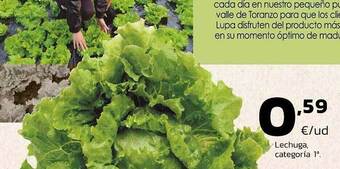Supermercados Lupa Lechuga, Categoría 1a oferta