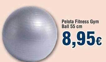 FROIZ Pelota Fitness Gym Ball 55 Cm oferta