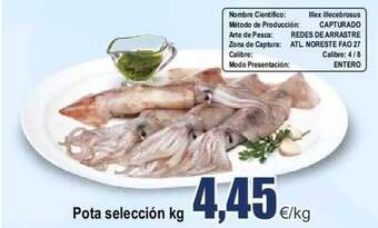 FROIZ Pota Selección oferta