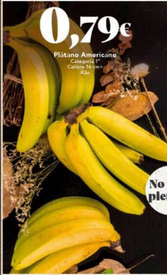 Gadis Plátano Americano oferta