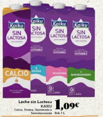 Gadis Leche Sin Lactosa Kaiku oferta
