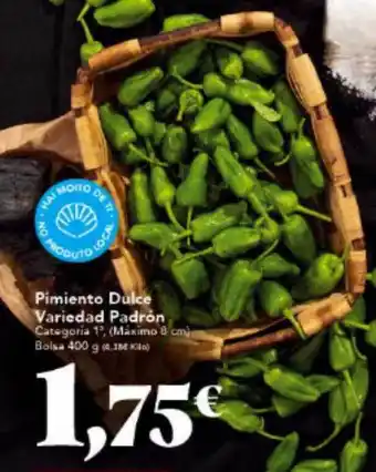 Gadis Pimiento Dulce Variedad Padrón oferta