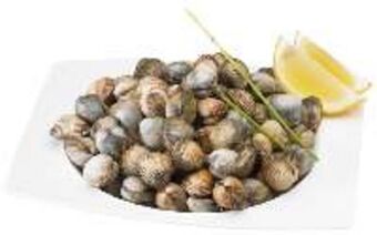 FROIZ Berberecho kg oferta