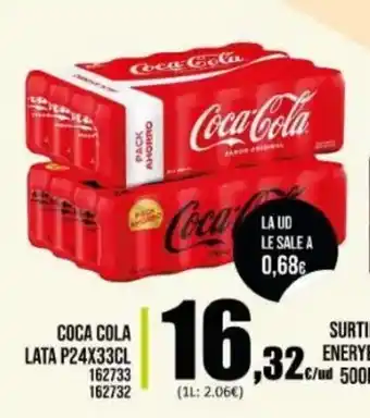 Family Cash Coca Cola Lata P24 x 33 cl oferta