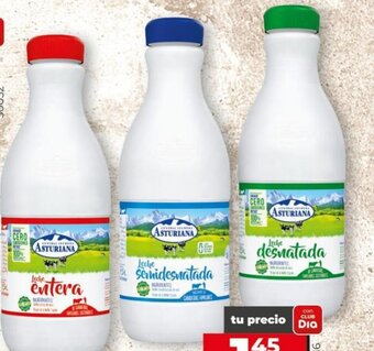 Maxi Dia Leche asturiana oferta