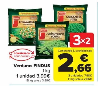 Carrefour Verduras findus oferta