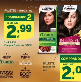 HiperDino Tinte de pelo palette oferta