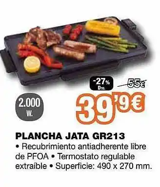 Expert Plancha Jata Gr213 oferta