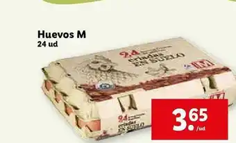 Lidl Huevos M 24 Ud oferta