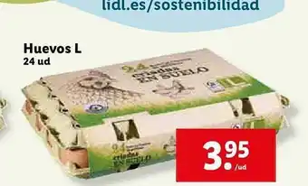 Lidl Huevos L 24 Ud oferta