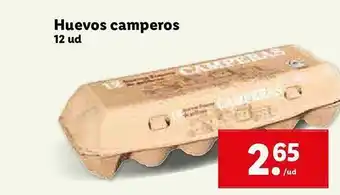 Lidl Huevos Camperos 12 Ud oferta
