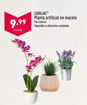 ALDI Living Art Planta Artificial En Maceta oferta