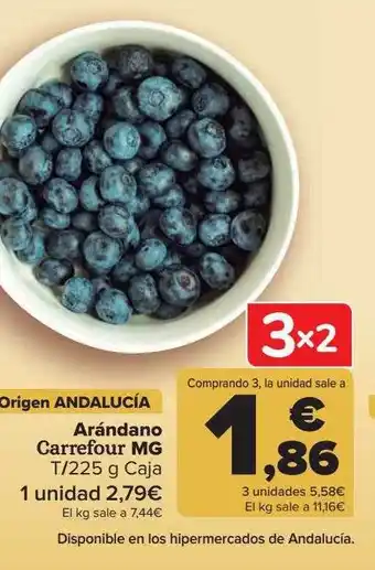 Carrefour Arándano Carrefour Mg oferta