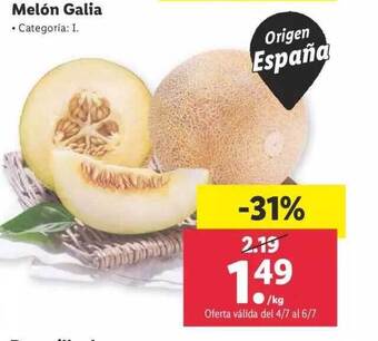 Lidl Melón Galia oferta