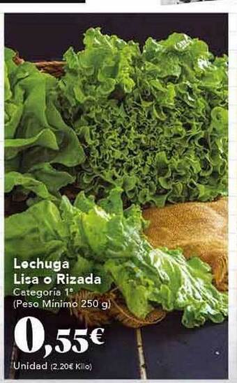 Gadis Lechuga Lisa O Rizada oferta