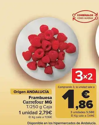 Carrefour Frambuesa Carrefour Mg oferta