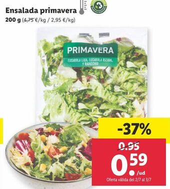 Lidl Ensalada primavera oferta