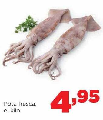 Alimerka Pota Fresca oferta