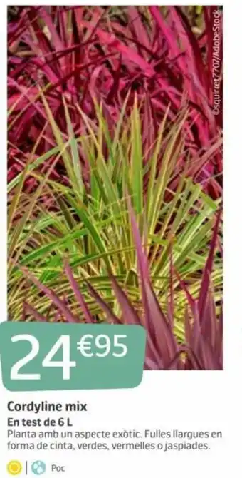 Jardiland Cordy de Mix En Test de 6 L oferta